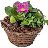 Frühjahrs-Korb versch. Ausführungen, Preisangabe ohne MwSt. (Preis inkl. MwSt. 14,68 €), METRO 1 Stück