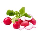 Radieschen aus Österreich Lidl 1 Bund