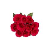 Fairtrade Rosen 10er Lidl 1 Bund
