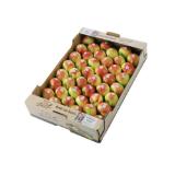 saftiger Apfel „Kronprinz” SPAR Gourmet 1 Kilogramm
