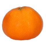 Clementinen lose MPREIS 1 Kilogramm