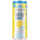 Gasteiner Infinity Water div. Sorten Penny 0.33 Liter 1 Dose