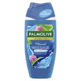 Palmolive Dusche div. Sorten, dm 250 Milliliter 1 Flasche