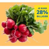 Radieschen T&G 1 Bund