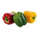 Bild von Da komm' ich her!  Paprika Tricolore BILLA 3 Stück