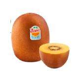 Zespri Riesenkiwi Gold Sutterlüty 1 Stück
