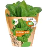 grow by OBI Bio Basilikum Topf-Ø ca. 13 cm "Ocimum basilicum" OBI 1 Stück