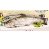 Bild von Kulmer Fisch Regenbogenforelle INTERSPAR 100 Gramm
