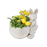 Terracotta Osterhase bepflanzt Lidl APP Preis 1 Stück