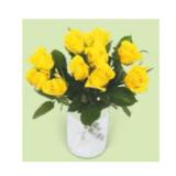 Fairtrade Edelrosen HOFER 1 Bund