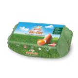 Spar Natur pur Bio-Eier Gr. L INTERSPAR 10 Stück