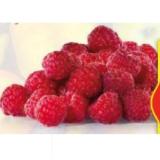 HOFER Marktplatz Himbeeren HOFER 125 Gramm 1 Packung