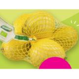 Bio-Zitronen Denns BioMarkt 500 Gramm 1 Netz
