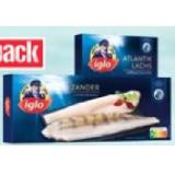 iglo Dorsch versch. Sorten, Zander, Forelle, Premium Atlantik Lachs, Wolfsbarsch Naturfilets oder Goldbrasse Naturfilets Maximarkt 1 Packung