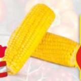 Promotion Bild von HOFER Marktplatz Zuckermais Frisch aus Österreich HOFER 600 Gramm 1 Packung