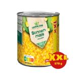 Promotion Bild von Greenland Sonnenmais Penny 570 Gramm 1 Dose