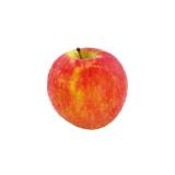 knackig-süßer Apfel Pink Lady SPAR Gourmet 1 Kilogramm