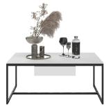 Dieter Knoll Collection Couchtisch 0824003741 XXXLutz 1 Stück