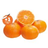 Marktliebe Mandarinen gelegt Penny 1 Kilogramm