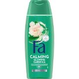 Fa Dusche div. Sorten dm 250 Milliliter 1 Stück