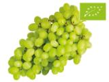 Bio Trauben hell kernlos Lidl 500 Gramm 1 Packung