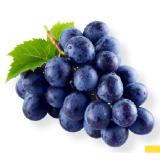 Kernlose Premium Trauben dunkel MPREIS 1 Kilogramm