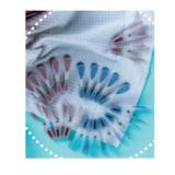 Home Creation Wäscheklammern HOFER 20 Stück