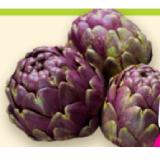 Bio-Artischocken Denns BioMarkt 1 Stück