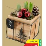 Arrangement „Hyacinthus“ 42770556 BayWa 1 Stück