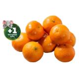 Marktliebe Clementinen Penny 1.50 Kilogramm 1 Netz