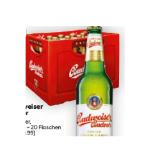 Budweiser Lager BILLA 0.50 Liter 20 Stück