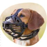 Trixie Maulkorb „Muzzle Flex“ div. Größen DAS FUTTERHAUS 1 Stück