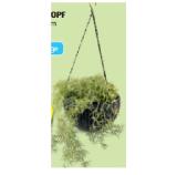 Belavi Kunststoff Hängetopf HOFER 1 Stück