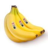 Promotion Bild von Ja! Natürlich Bio-Bananen BILLA 1 Kilogramm