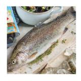 Promotion Bild von Spar Natur pur Bio-Forelle INTERSPAR 100 Gramm