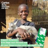 Promotion Bild von Caritas Doppelt schenken: 1 Ziege nach Burundi und 1 Paar Ziegensocken unter den Baum