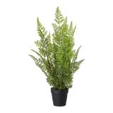 Promotion Bild von modern living Kunstpflanze „FARN“ 42975218 mömax 1 Stück