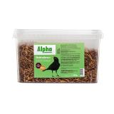 Alpha Wildvogel Mehlwürmer 30362737 BayWa 450 Gramm 1 Packung