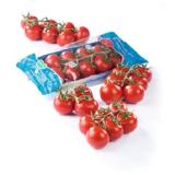 aromatische Midi Rispentomaten SPAR 350 Gramm 1 Packung