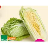 Demeter Bio-Chinakohl Denns BioMarkt 1 Kilogramm