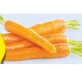 Promotion Bild von HOFER Marktplatz  BIO-Snackkarotten HOFER 250 Gramm 1 Packung