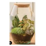 Flaschengarten  modernes Mini-Terrarium versch. Bepfl anzungen Dehner 1 Stück
