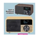 Promotion Bild von SANGEAN DAB+ Digitalradio DDR-7 Natural Wood UVP 169€ RED ZAC 1 Stück