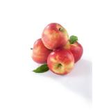 Saftiger Apfel „Elstar“ SPAR 1 Kilogramm