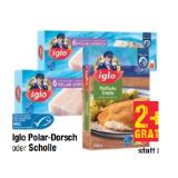 iglo Polar-Dorsch oder Scholle versch. Sorten Maximarkt 1 Packung