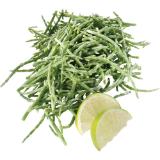 Salicornia, Preisangabe ohne MwSt. (Preis inkl. MwSt. 19,79 €), METRO 1 Kilogramm