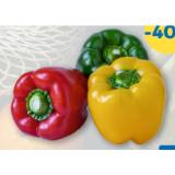 M Paprika Tricolor T&G 3 Stück