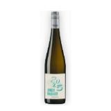 Domäne Wachau Junger Wachauer 2025 BILLA 0.75 Liter 1 Flasche