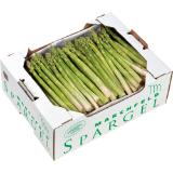 Marchfelder Spargel grün, Preisangabe ohne MwSt. (Preis inkl. MwSt. 13,19 €), METRO 1 Kilogramm
