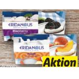 ERIDANOUS Griechischer Joghurt versch. Sorten Lidl 4 Stück 1 Packung